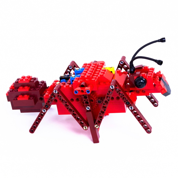 6-Legged Walking Ant