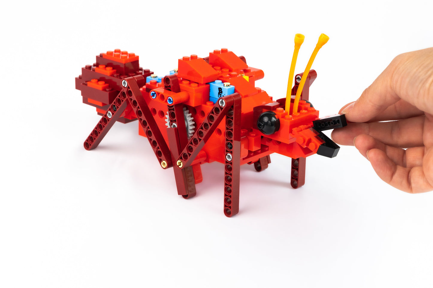 Red mechanical walking ant model being played with by a hand on a white background