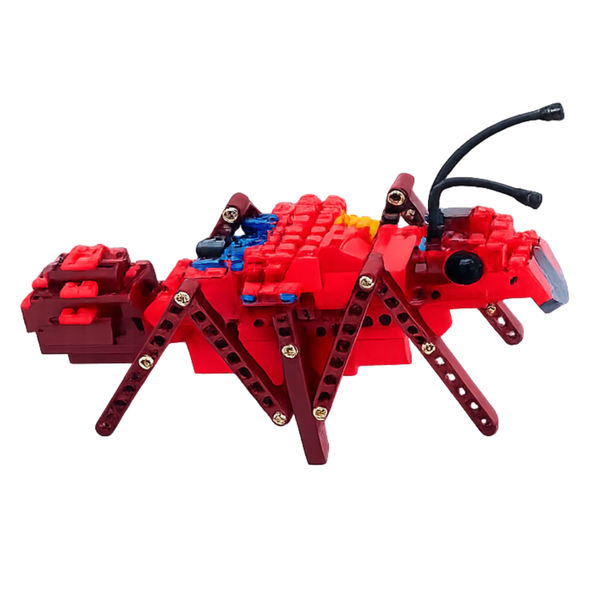 A red toy ant model built from interlocking building blocks, featuring black antennae, a black head, and small blue and yellow details, shown against a plain white background.