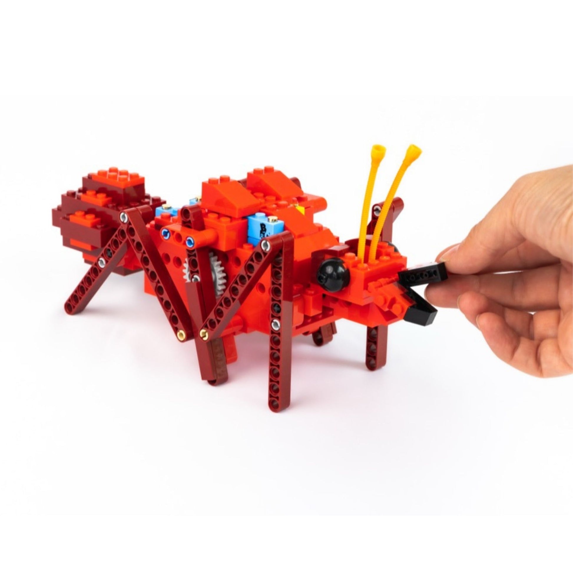 Assembling a motorized 6-legged walking ant using a hands on STEM kit and circuit building toy for a screen free educational toy experience.